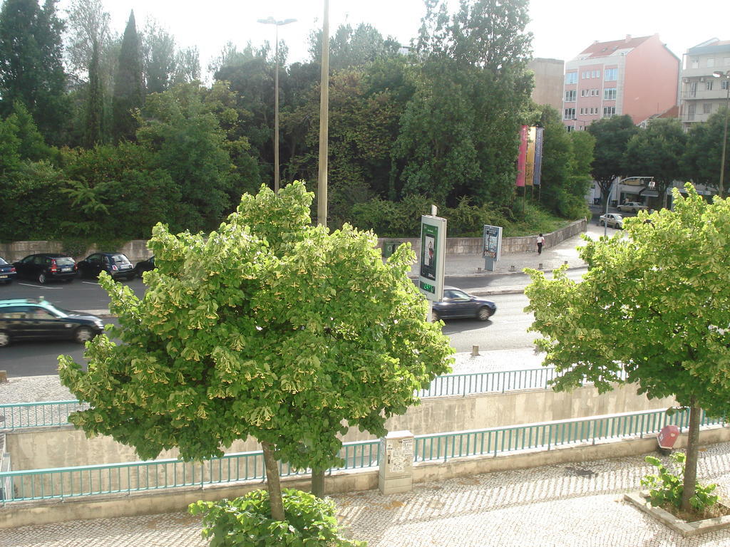 Center Garden Luxury Lisboa