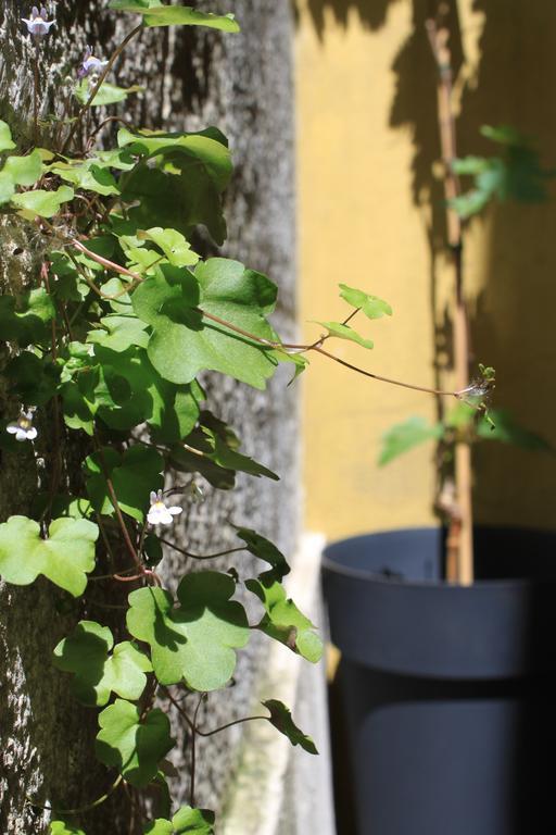 Hostal G&b - And Wines Lisboa