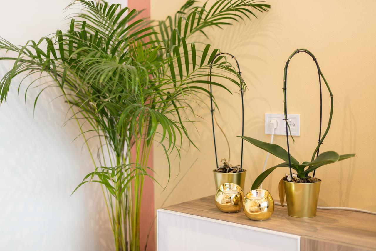 Apartamento Your - Duque De Palmela