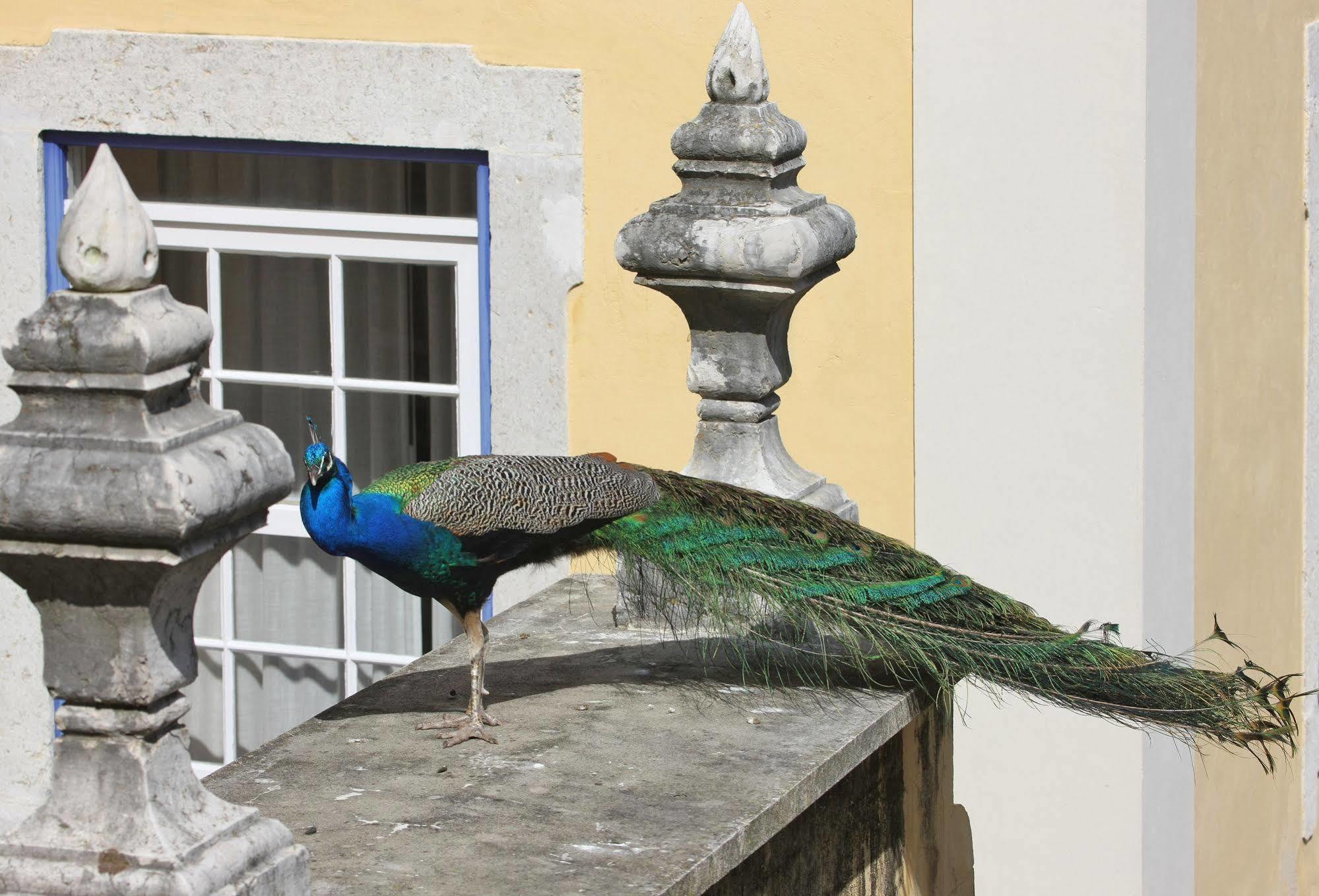 Solar Do Castelo - Heritage Collection - Alfama Hotel Lisboa