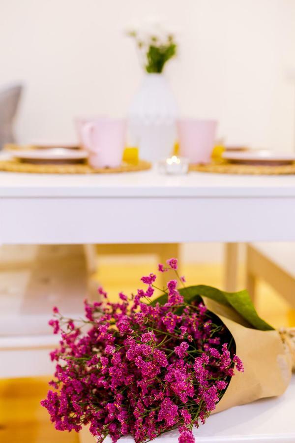 Apartamento Casa Dos Doutores, A Cozy In