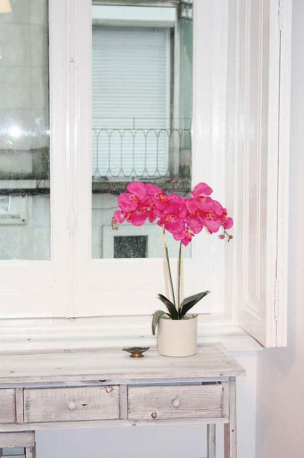 Apartamento Spacious And Elegant Family - Bp1 *